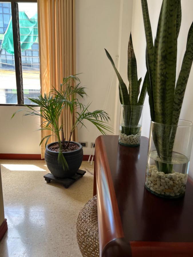 Hotel Caucasia 外观 照片